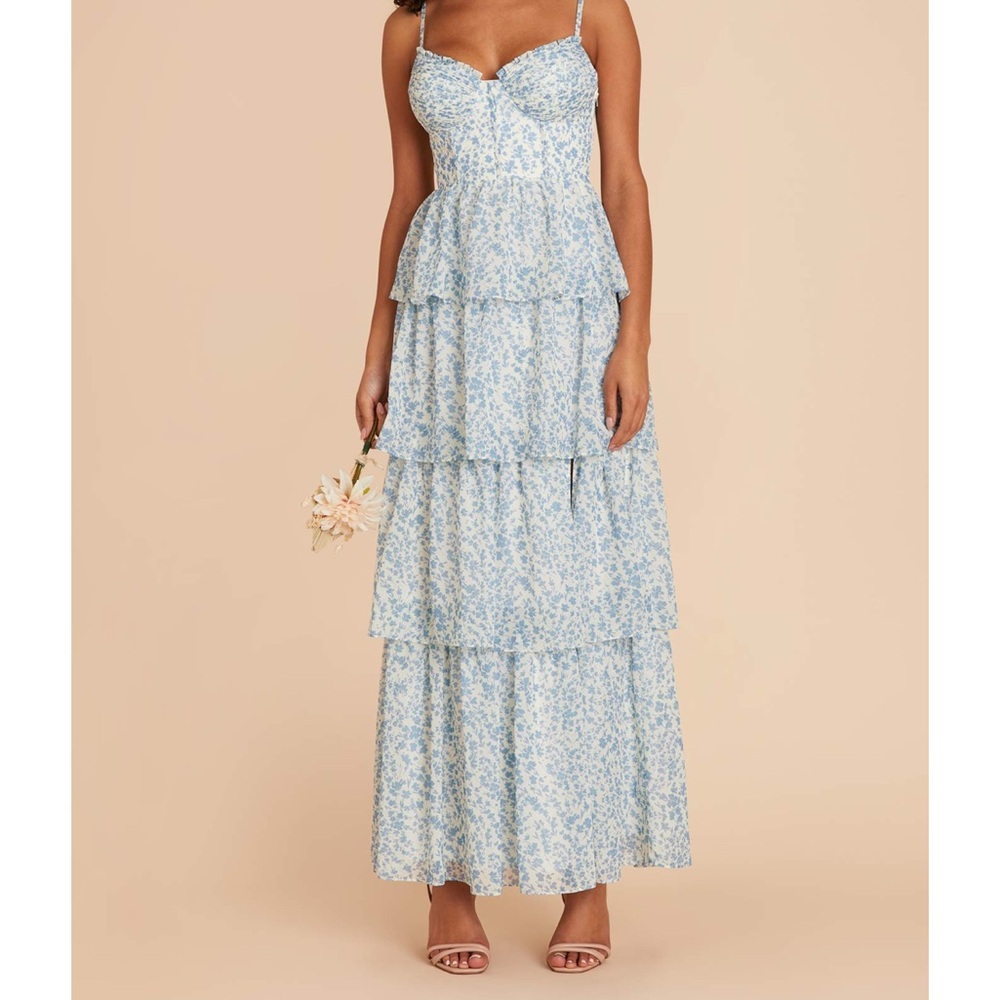 Birdy Grey Chiffon Blue Dream Ditsy Lola Dress XS